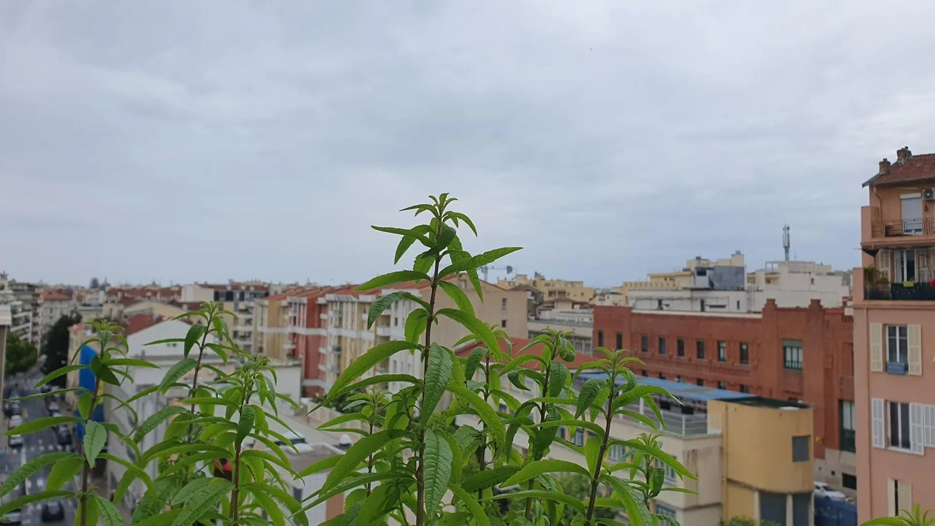 Wonderful Heart Of Nice Homestay